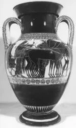 AMPHORA, BELLY, TYPE A (ATHENIAN, BLACK-FIGURE)