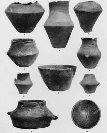 VARIOUS (PLOCNIK)
