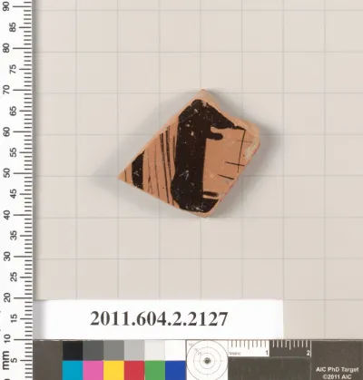 Terracotta fragment of a pot; glazed on the inside