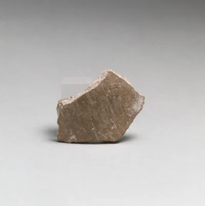 Vase fragment