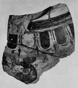 FRAGMENT (EAST GREEK, CLAZOMENIAN, BLACK-FIGURE)