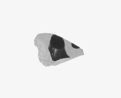 Attic Black-Figure Cup Fragment