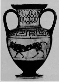 AMPHORA, NECK (ETRUSCAN, BLACK-FIGURE)