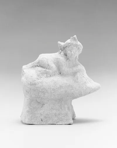 Boy Crouching on a Pig