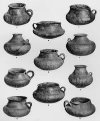 VARIOUS (DALJ)
