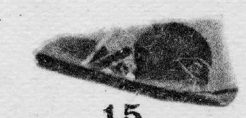 CUP, FRAGMENT (ATHENIAN, BLACK-FIGURE)