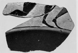OLPE (?), FRAGMENT (ATHENIAN, BLACK-FIGURE)