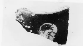 CHOUS, FRAGMENT (ATHENIAN, RED-FIGURE)