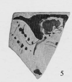 SKYPHOS, FRAGMENT (ATHENIAN, RED-FIGURE)