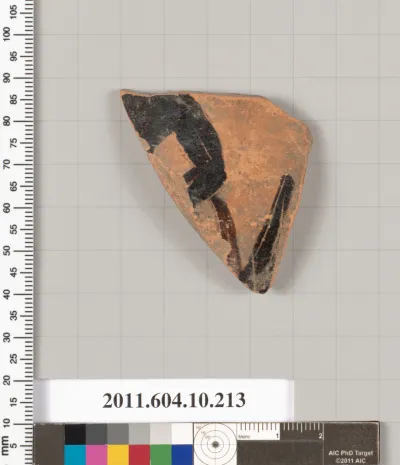 Terracotta fragment of an amphora (jar)