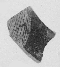 CUP, FRAGMENT (ATHENIAN, RED-FIGURE)