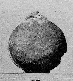 BOWL (CYPRIOT, BRONZE AGE)
