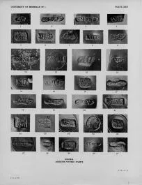 BOWL, FRAGMENTS (ARRETINE)