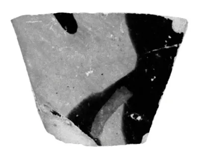 Attic Black-Figure Cup Fragment