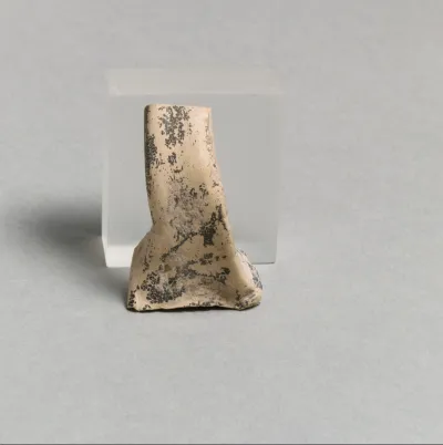 Vase fragment