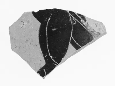 Attic Black-Figure Skyphos Fragment