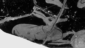 HYDRIA (ATHENIAN, RED-FIGURE)