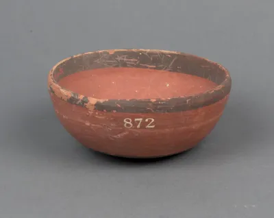 Bowl