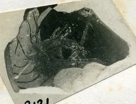 CUP, FRAGMENT (ATHENIAN, RED-FIGURE)