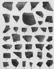 VARIOUS (VUCEDOL)