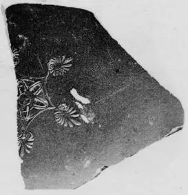 CUP, STEMLESS, FRAGMENT (SOUTH ITALIAN, BLACK GLAZE)
