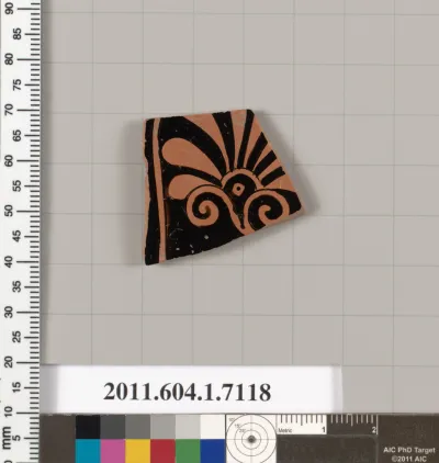 Terracotta fragment of a kylix (drinking cup)