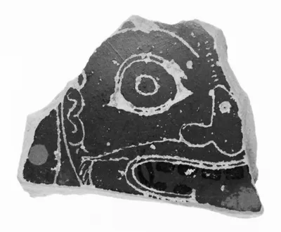 Attic Black-Figure Amphora Fragment