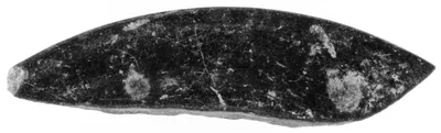 Undecorated Base Fragment
