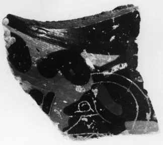 FRAGMENT (ATHENIAN, BLACK-FIGURE)