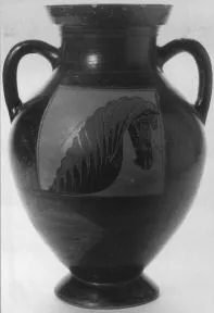 AMPHORA, BELLY, TYPE B (ATHENIAN, BLACK-FIGURE)