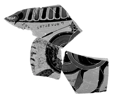 Attic Black-Figure Dinos and Stand Fragments (81)
