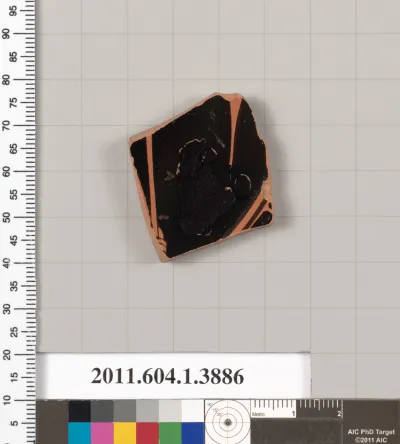 Terracotta fragment of a kylix (drinking cup)