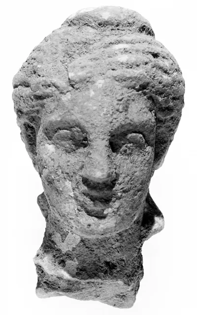 Head with Stephane