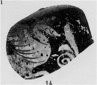 LEKYTHOS, SQUAT, FRAGMENT (ATHENIAN, RED-FIGURE)