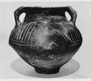 AMPHORA, BELLY (SOUTH ITALIAN, IMPASTO)