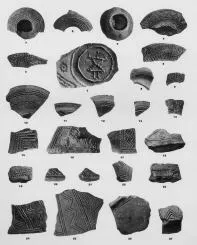 VARIOUS (VUCEDOL)
