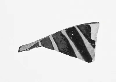Attic Black-Figure Amphora Fragment
