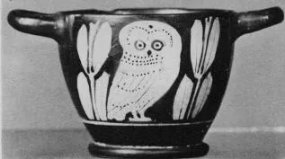 SKYPHOS (ATHENIAN, RED-FIGURE)