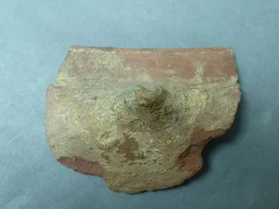 vase ; fragment