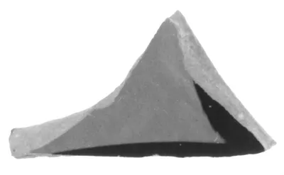 Attic Black-Figure Eye Cup Fragment