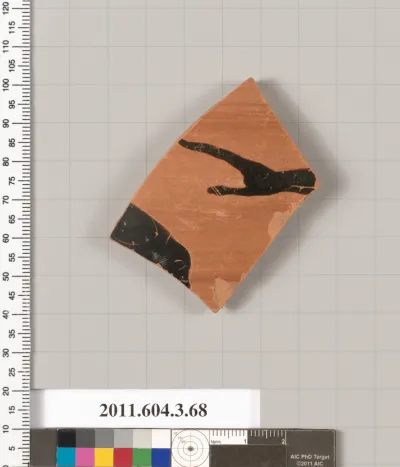 Terracotta fragment of an amphora (jar)