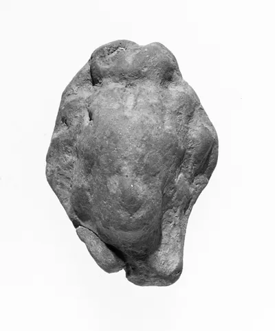 Female Head