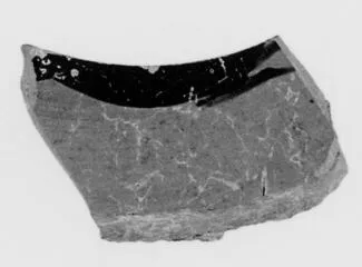 LEKYTHOS, FRAGMENT (ATHENIAN, BLACK-FIGURE)