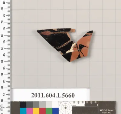 Terracotta fragment of a kylix (drinking cup)