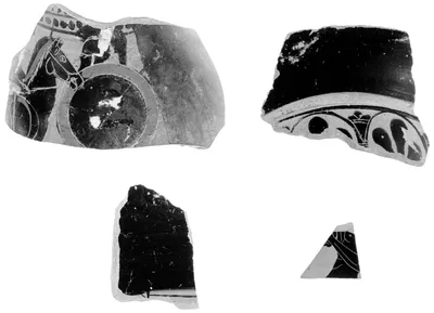 Attic Black-Figure Oinochoe or Olpe Fragment