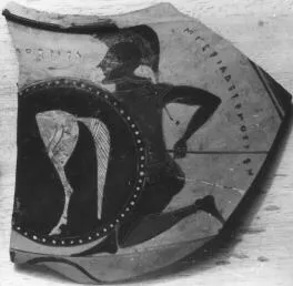 HYDRIA, FRAGMENT (ATHENIAN, BLACK-FIGURE)