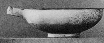 CUP (DAUNIAN)