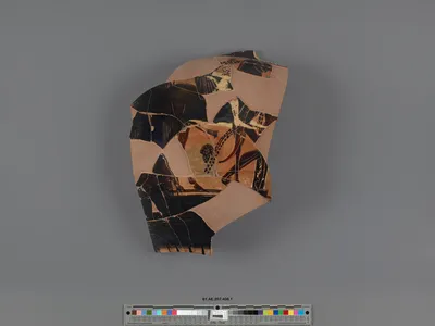 Attic Black-Figure Column Krater Fragment (part of 81.AE.207.408, comprised of 24 Joined Fragments)
