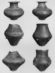 VARIOUS (DALJ)