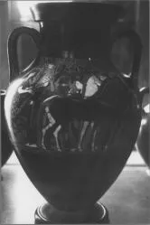 AMPHORA, BELLY, TYPE A (ATHENIAN, BLACK-FIGURE)